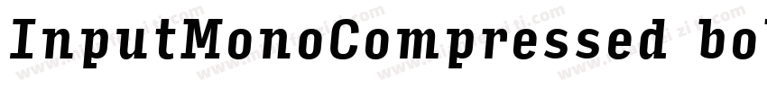 InputMonoCompressed bold字体转换